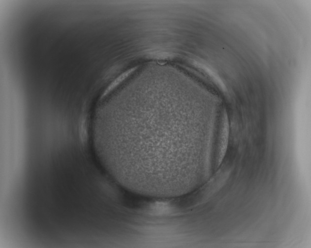 X0000102310114200808081615