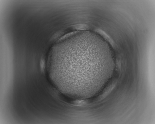 X0000102310117200808081615