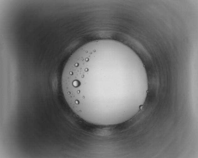 X0000102310120200808081615