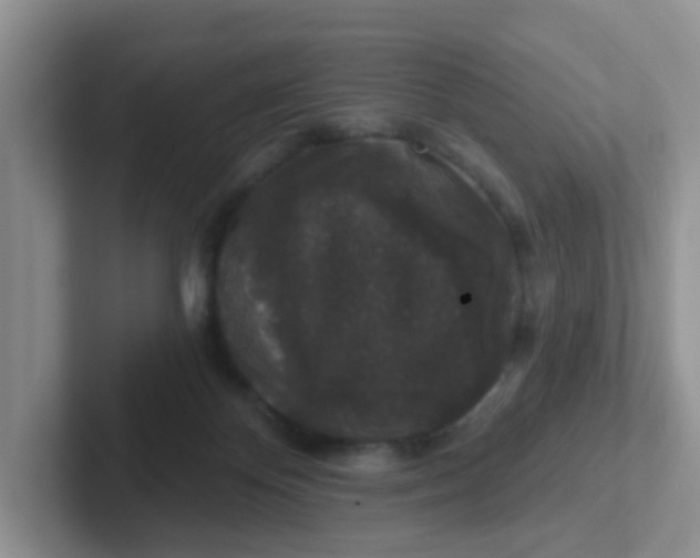 X0000102310124200808081615