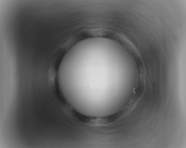 X0000102310125200808081615