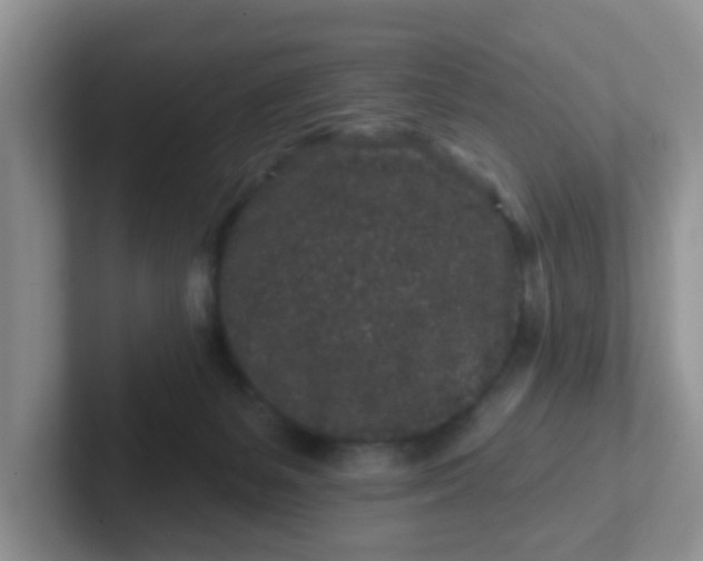 X0000102310127200808081615