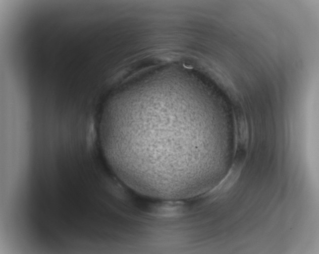 X0000102310128200808081615