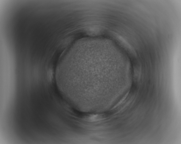 X0000102310130200808081615