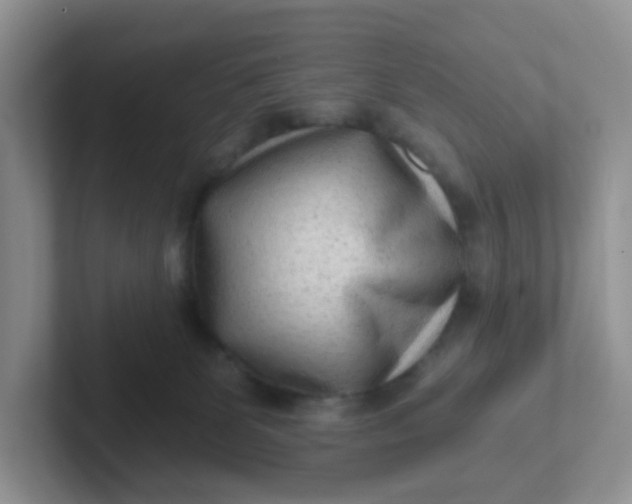 X0000102310131200808081615