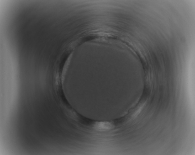 X0000102310137200808081615
