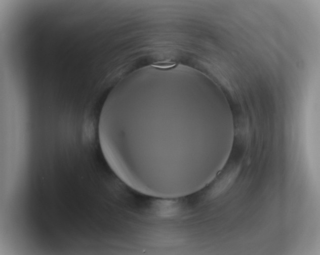 X0000102310139200808081615