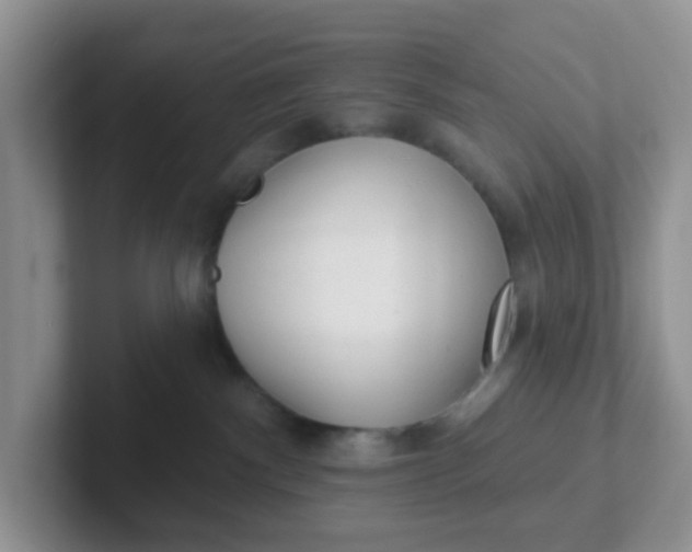 X0000102310140200808081615