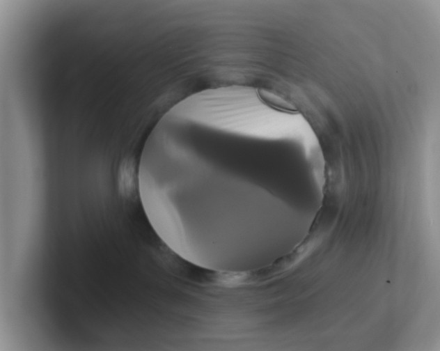 X0000102310143200808081615