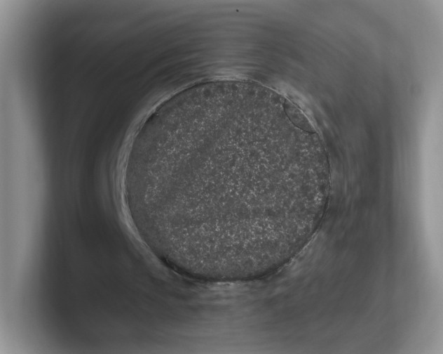 X0000102310145200808081614