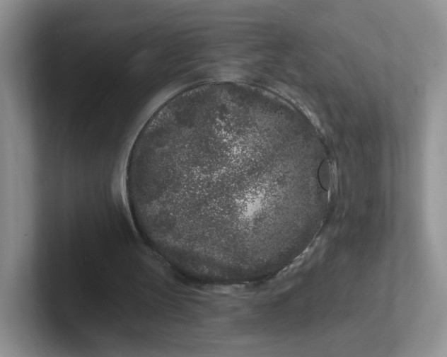 X0000102310147200808081614