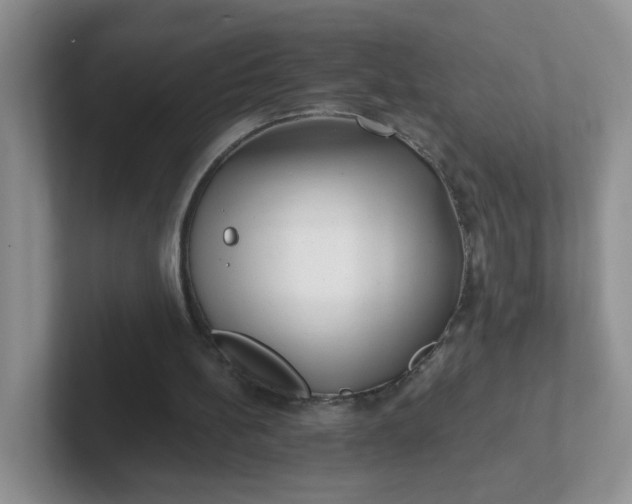 X0000102310148200808081614