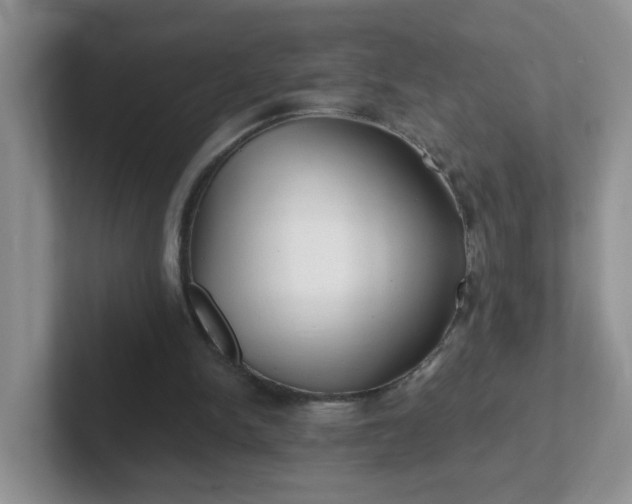 X0000102310150200808081614