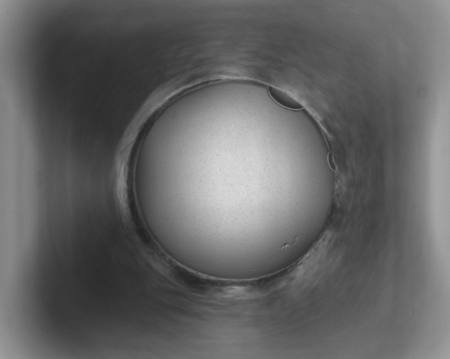 X0000102310151200808081614