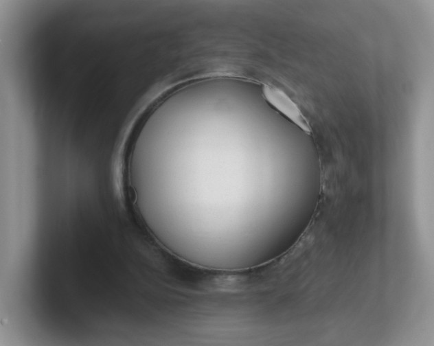X0000102310152200808081614