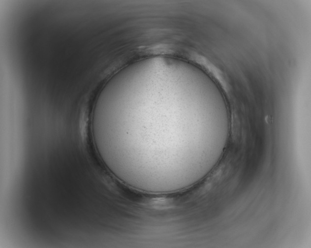 X0000102310153200808081614