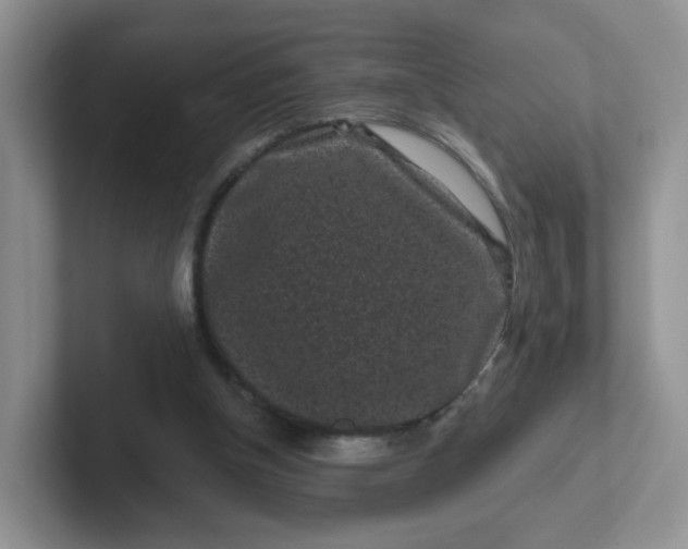 X0000102310154200808081614