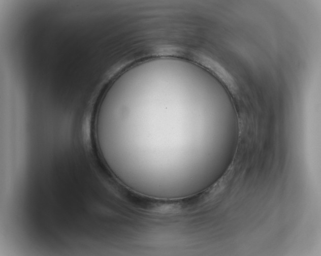 X0000102310155200808081614