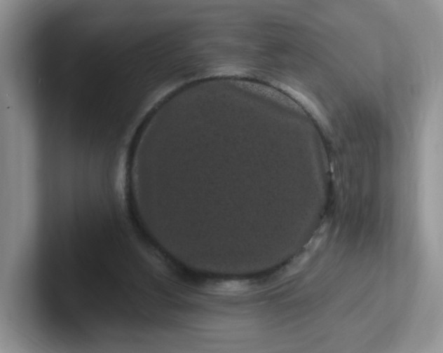 X0000102310156200808081614