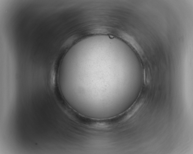 X0000102310157200808081614