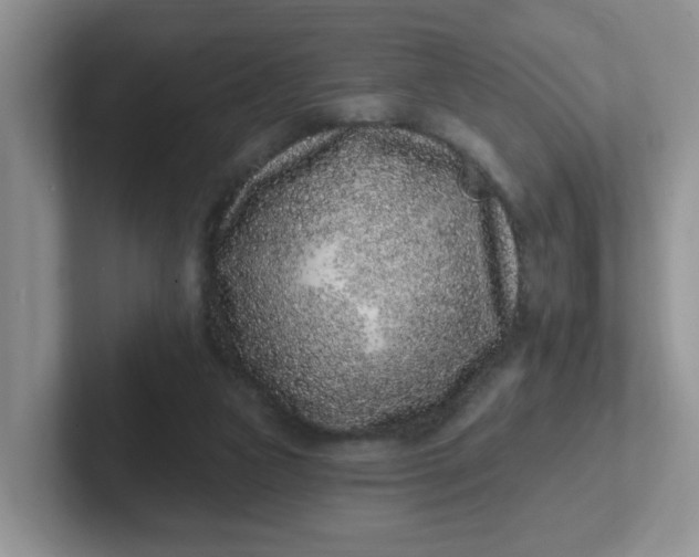 X0000102310161200808081614