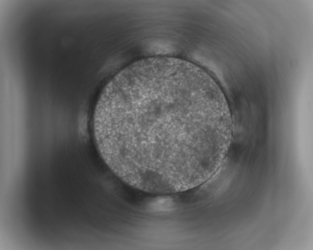 X0000102310162200808081614