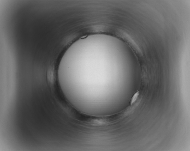 X0000102310164200808081614