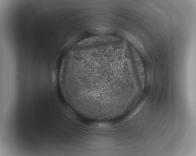 X0000102310165200808081614