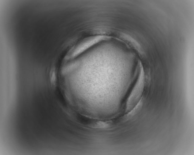 X0000102310166200808081614