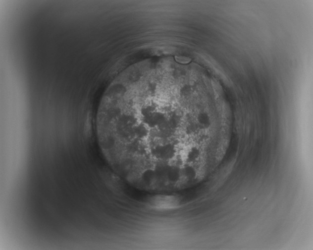 X0000102310169200808081615
