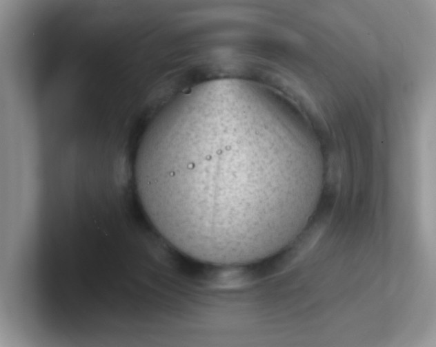 X0000102310173200808081615