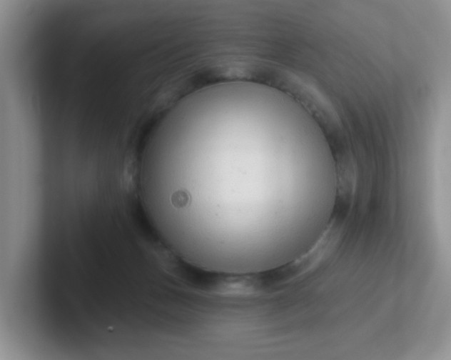 X0000102310175200808081615