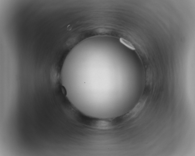X0000102310176200808081615