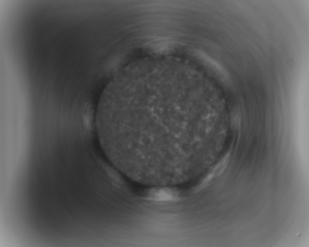 X0000102310181200808081615