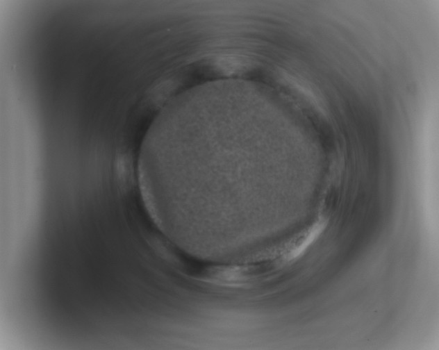 X0000102310182200808081615