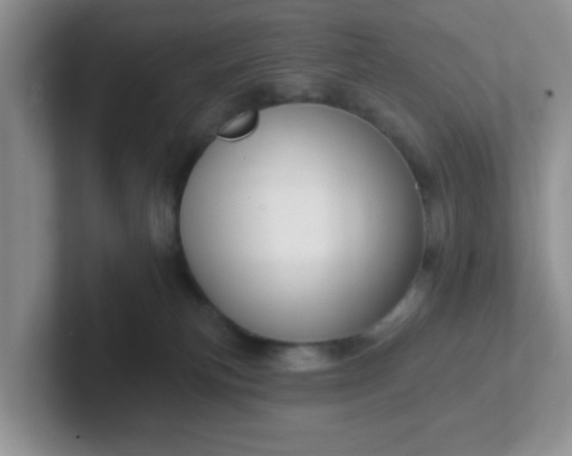 X0000102310183200808081615