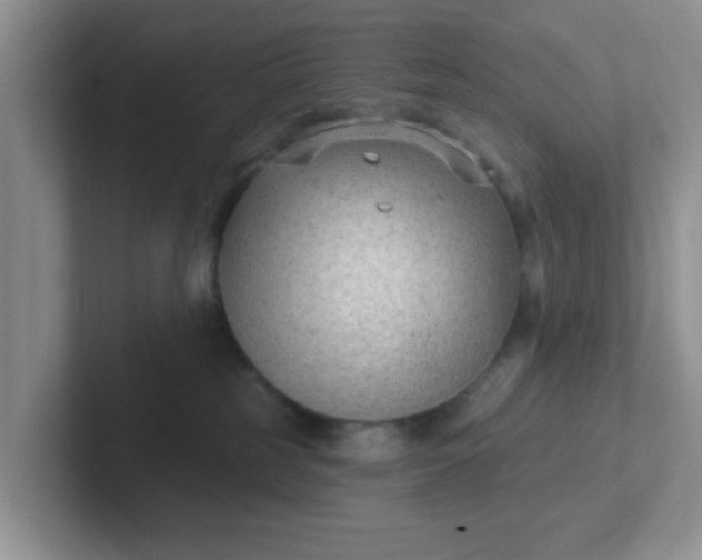 X0000102310185200808081615