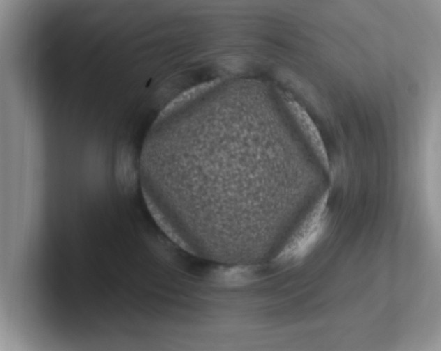 X0000102310186200808081615