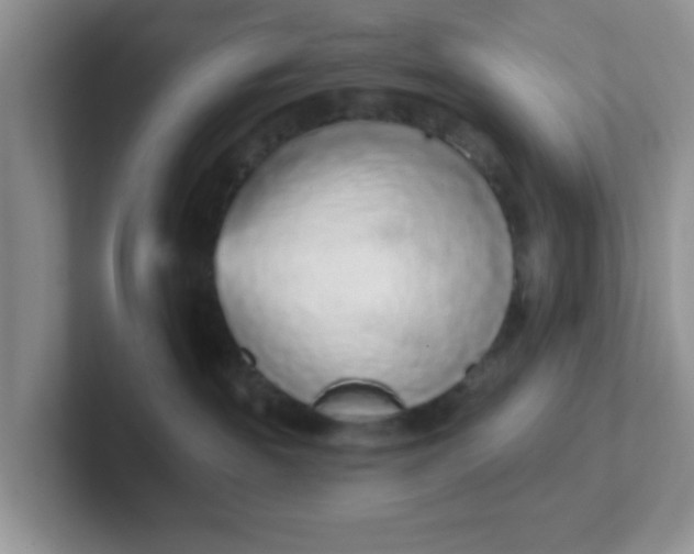 X0000102310189200808081615