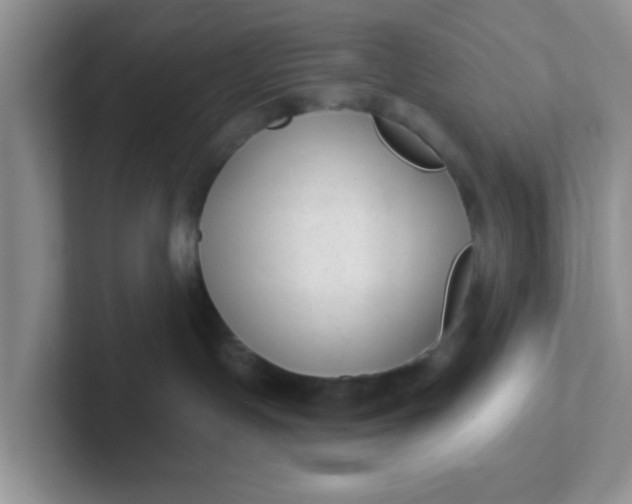 X0000102310191200808081615
