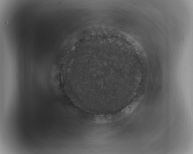 X0000102310192200808081615