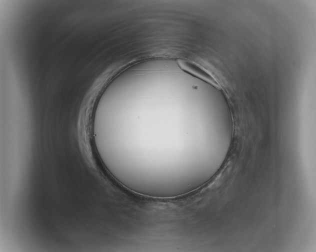 X0000102310193200808081614