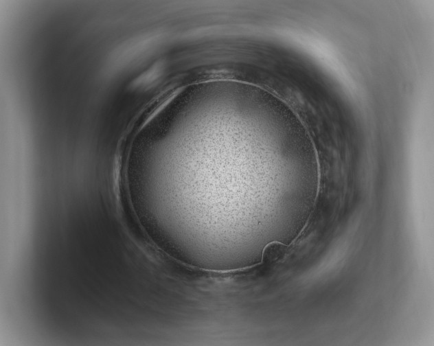 X0000102310194200808081614