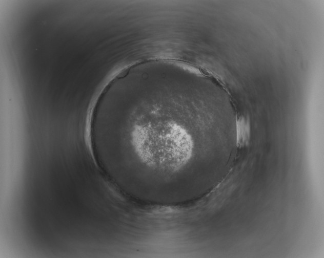 X0000102310195200808081614