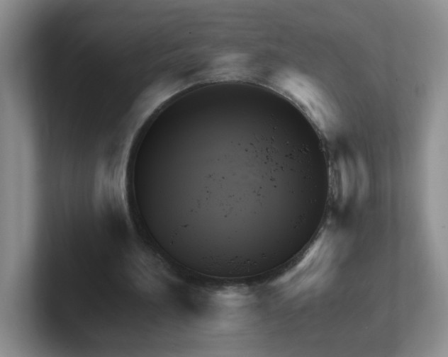 X0000102310196200808081614