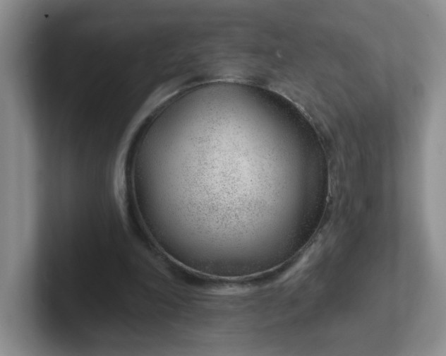 X0000102310198200808081614