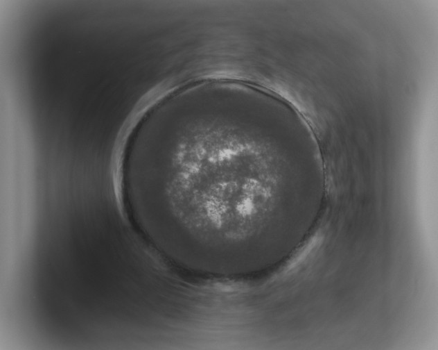 X0000102310199200808081614