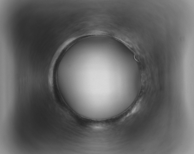 X0000102310200200808081614