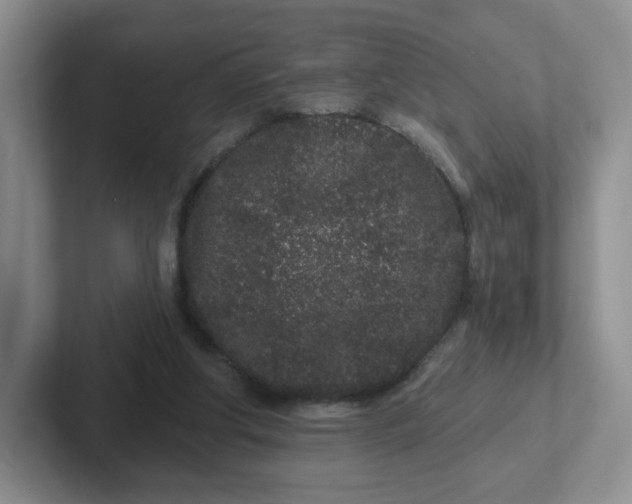 X0000102310202200808081614