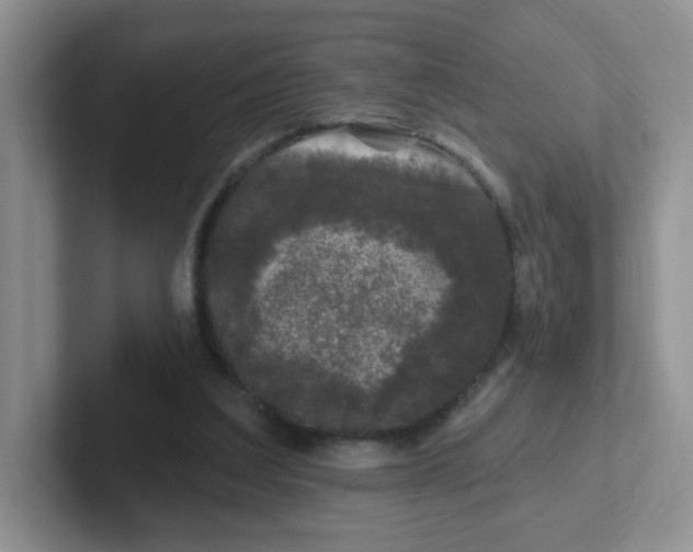 X0000102310203200808081614